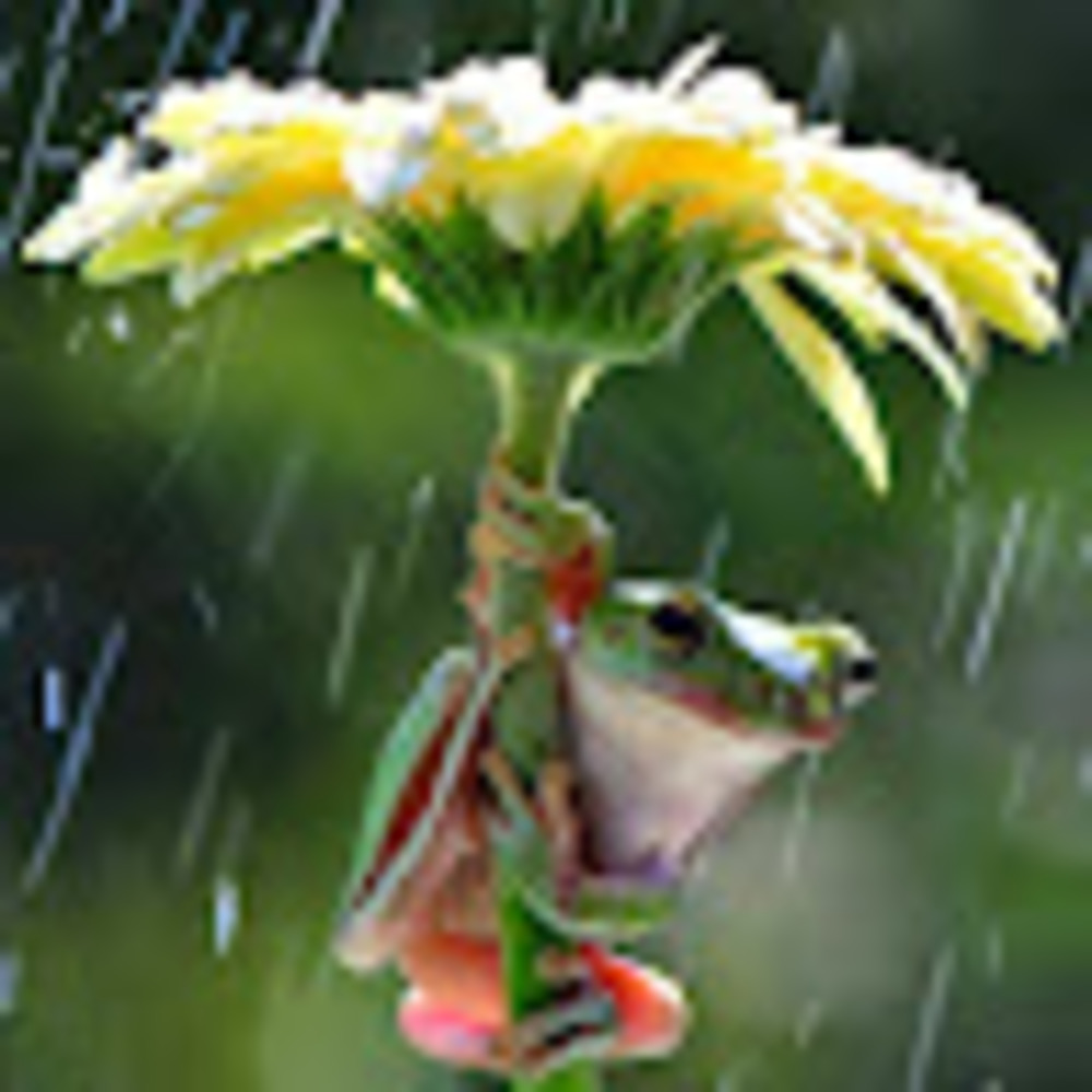 Meet your Posher, Marquita